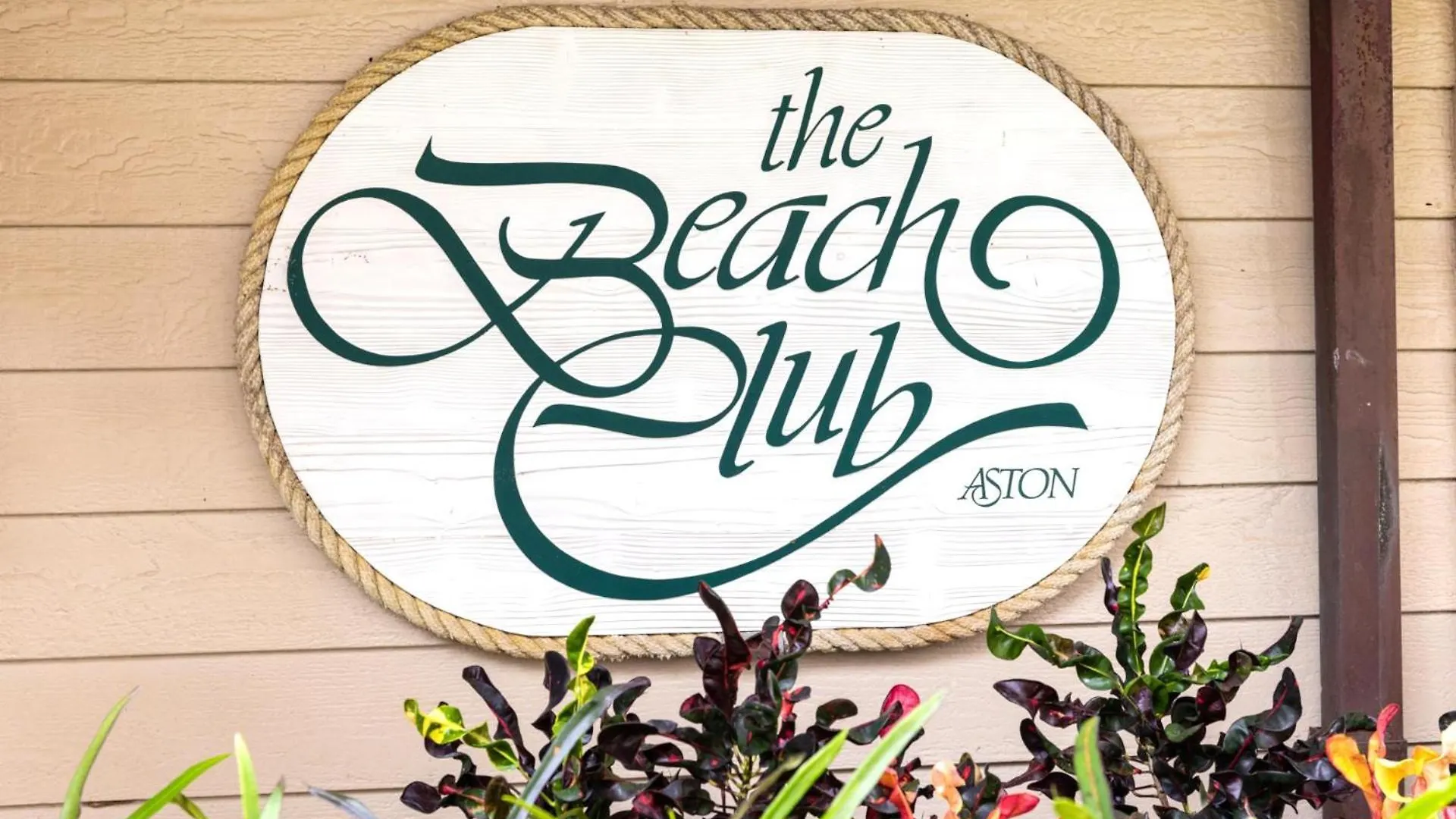 Kbm Resorts Free Car Kaanapali Shores Ocean View 2-Bedroom Condo With Huge Lanai Steps To Pool Ks-258 Napili-Honokowai 0*,  USA